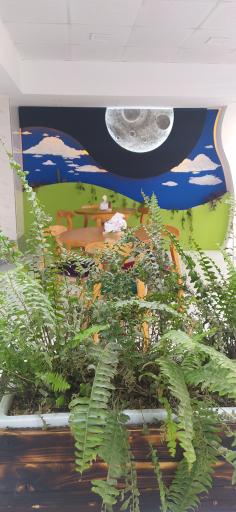 عکس آیس کده پلاس انرژی