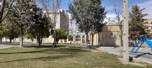 عکس کارگاه قالی بافی پازیریک