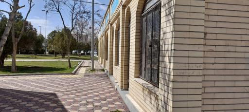 عکس کارگاه قالی بافی پازیریک