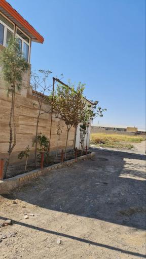 عکس شرکت حمل و نقل سرد ترابر چراغی 