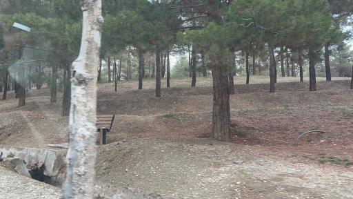 بوستان یاس فاطمی