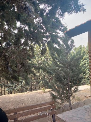 عکس بوستان یاس فاطمی