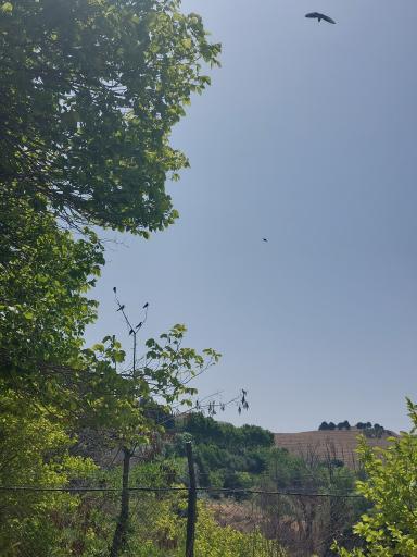 بوستان یاس فاطمی