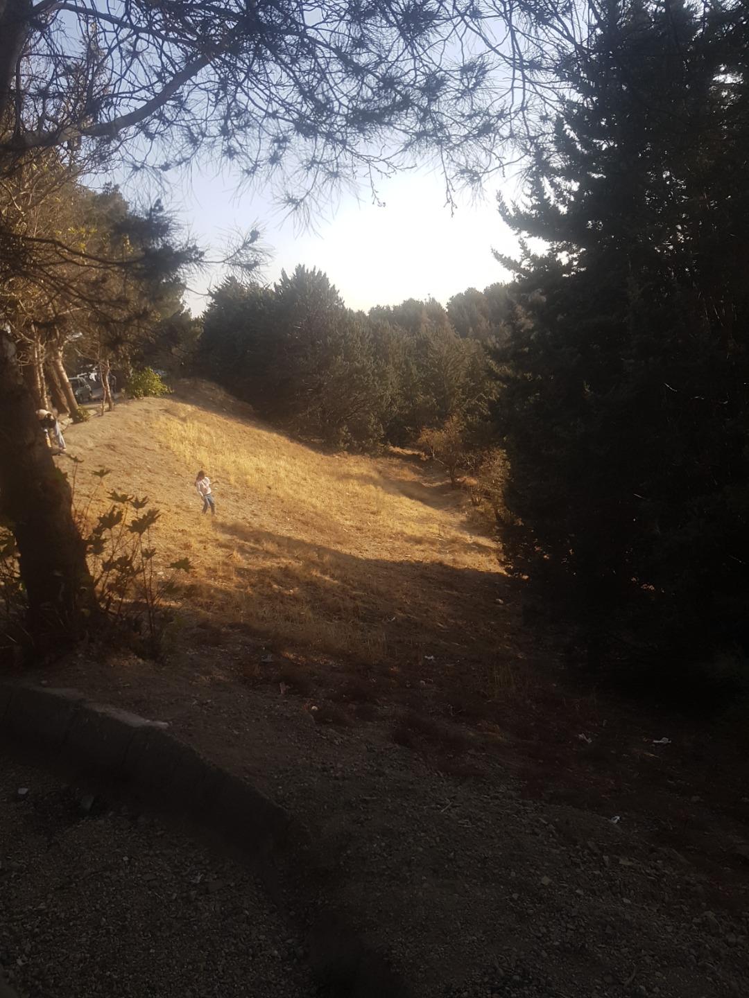 عکس بوستان یاس فاطمی