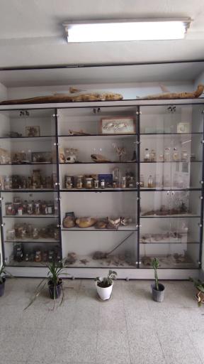 عکس پژوهش سرای دانش آموزی شهید حسن خوشبخت