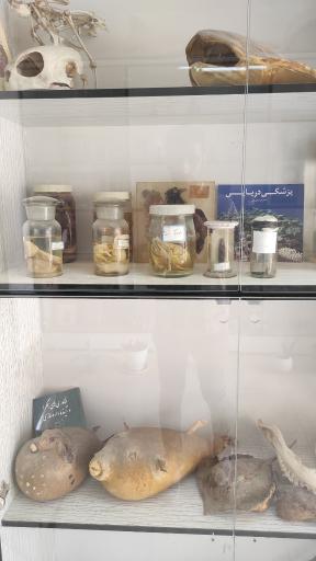 عکس پژوهش سرای دانش آموزی شهید حسن خوشبخت