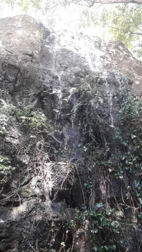 عکس رستوران سنتی یاشار