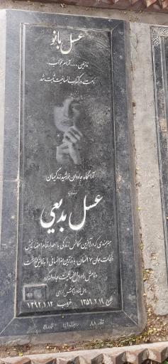 عکس آرامگاه عسل بدیعی 