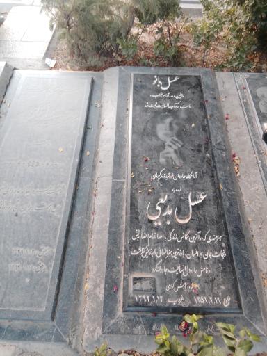 عکس آرامگاه عسل بدیعی 