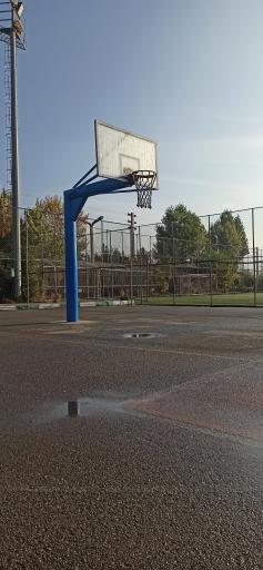 زمین بسکتبال لواسان 