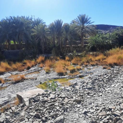 عکس رودخانه ماشکید 