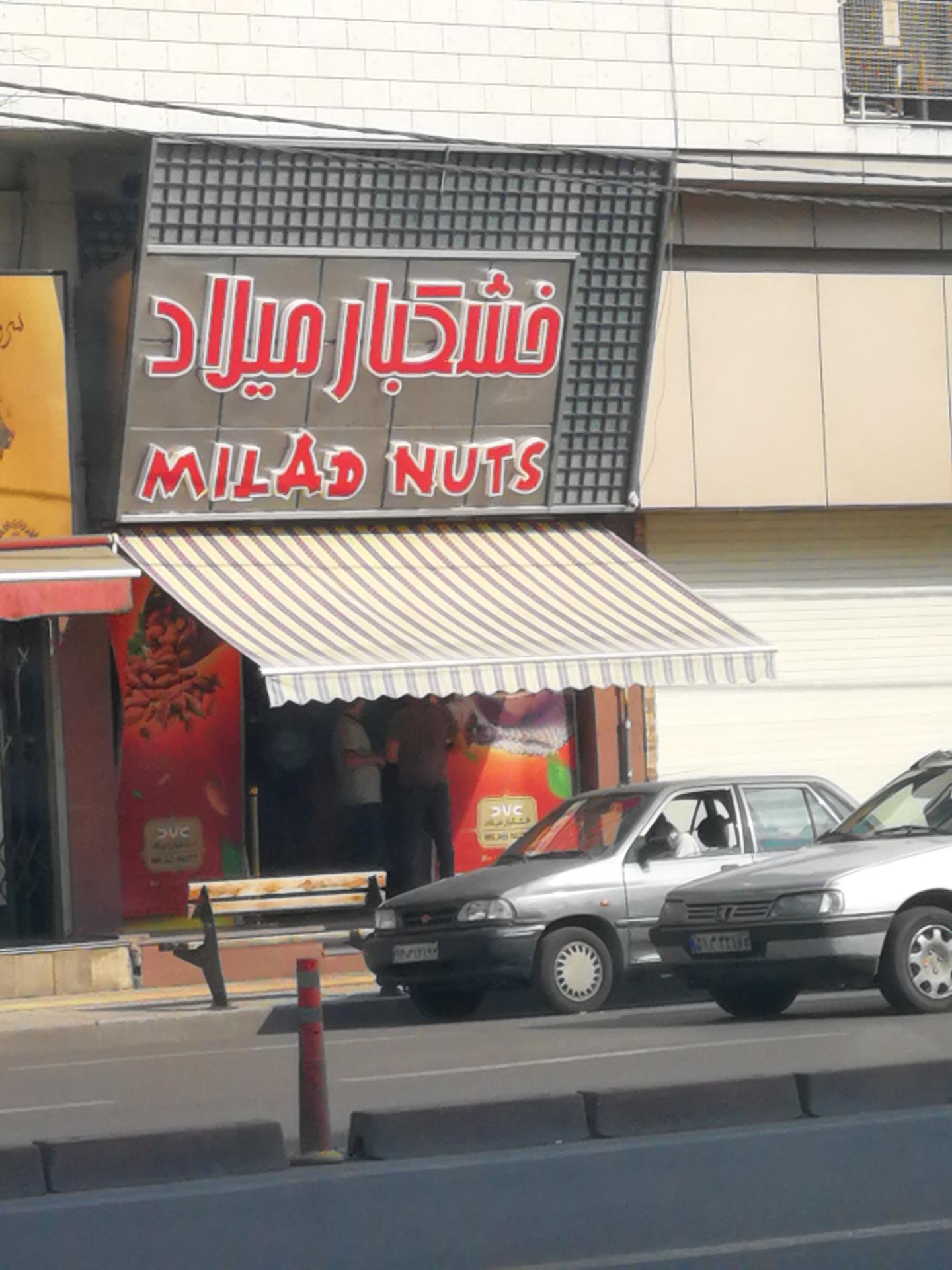 عکس خشکبار میلاد