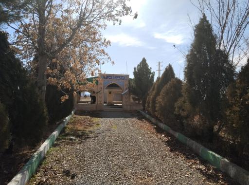 عکس شیخ حسن