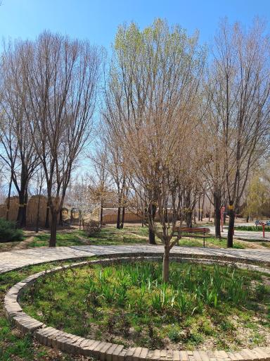 عکس بوستان شفق