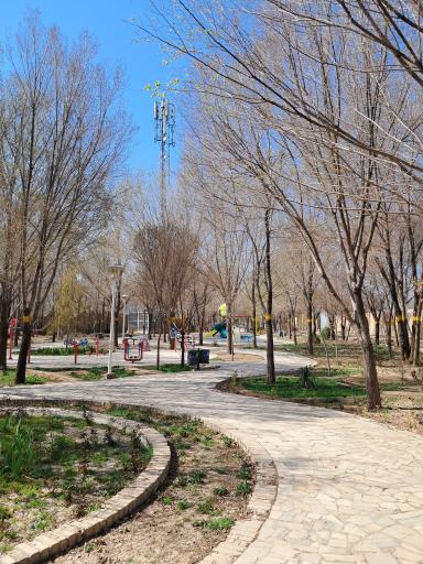 عکس بوستان شفق