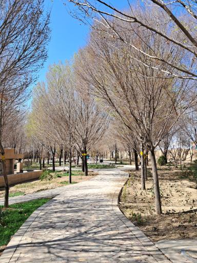 عکس بوستان شفق