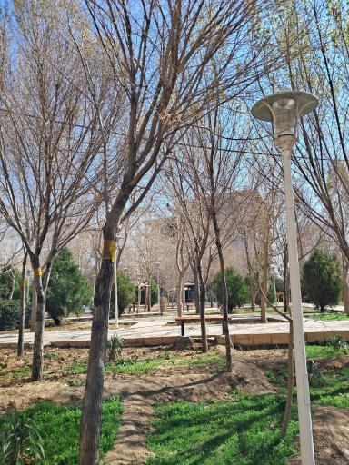 عکس بوستان شفق