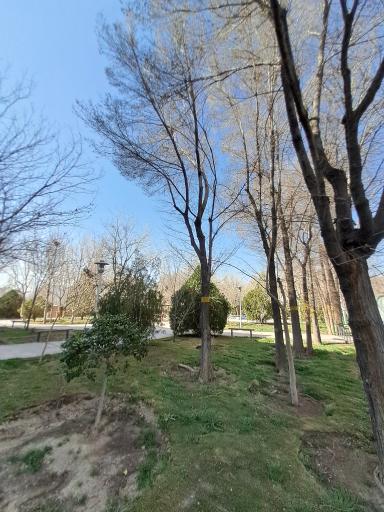 عکس بوستان شفق