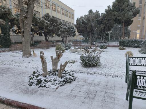 عکس دانشگاه بین‌المللی امام رضا (ع)