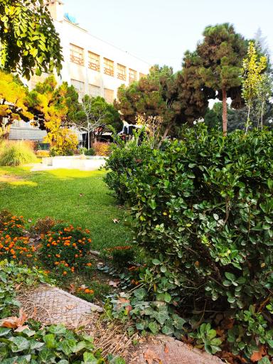 عکس دانشگاه بین‌المللی امام رضا (ع)