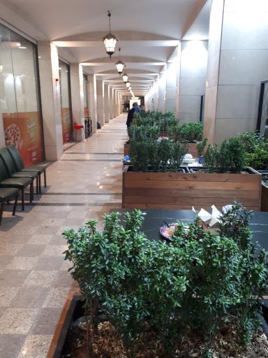 عکس فست فود زیتون لبنان