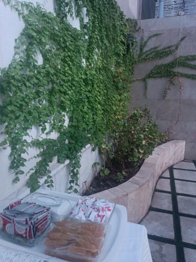 عکس موسسه فرهنگی راه روشن هدایت