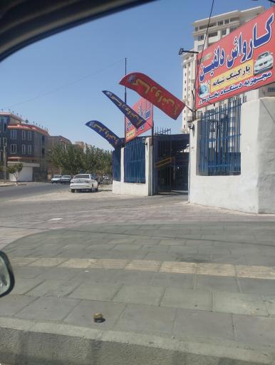 عکس کارواش دلفین