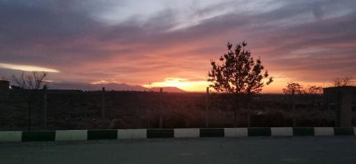 عکس شیخ حسن