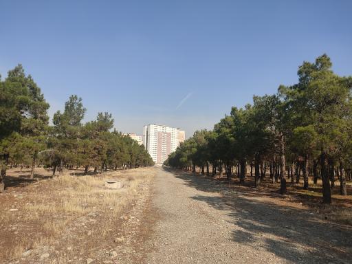 عکس برج رویال