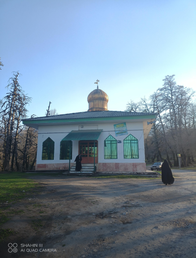امامزاده یحیی