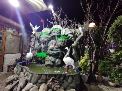 عکس باغ رستوران راوی