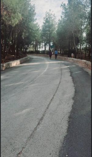 عکس پارک نور