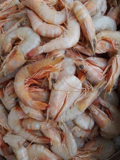 عکس ماهی سرای فرهنگیان 