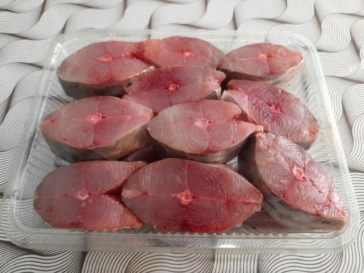 عکس ماهی سرای فرهنگیان 