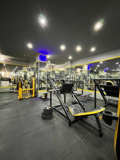 عکس باشگاه بدنسازی ویژن