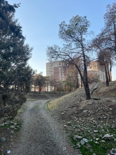 عکس برج رویال