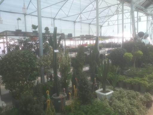 عکس خانه گل پرچین