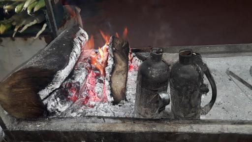 عکس بلالی شمال