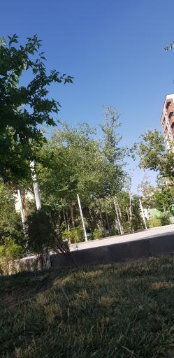 عکس بوستان صفا