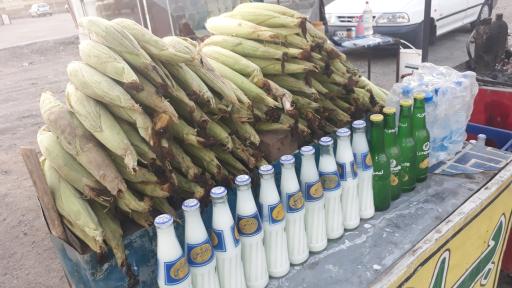 عکس بلالی شمال