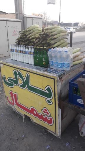 عکس بلالی شمال