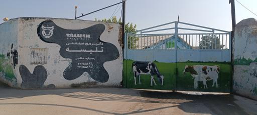 عکس دامپروری تلیسه 