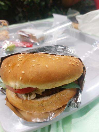 عکس گرین برگر