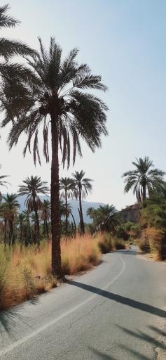 عکس آبشار تزرج