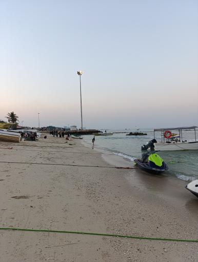 عکس ساحل مرجان