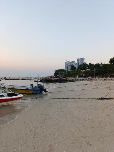 عکس ساحل مرجان