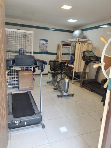 عکس فیزیوتراپی سبز شهر