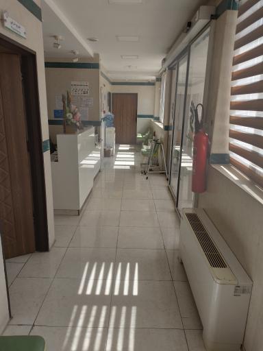 عکس فیزیوتراپی سبز شهر