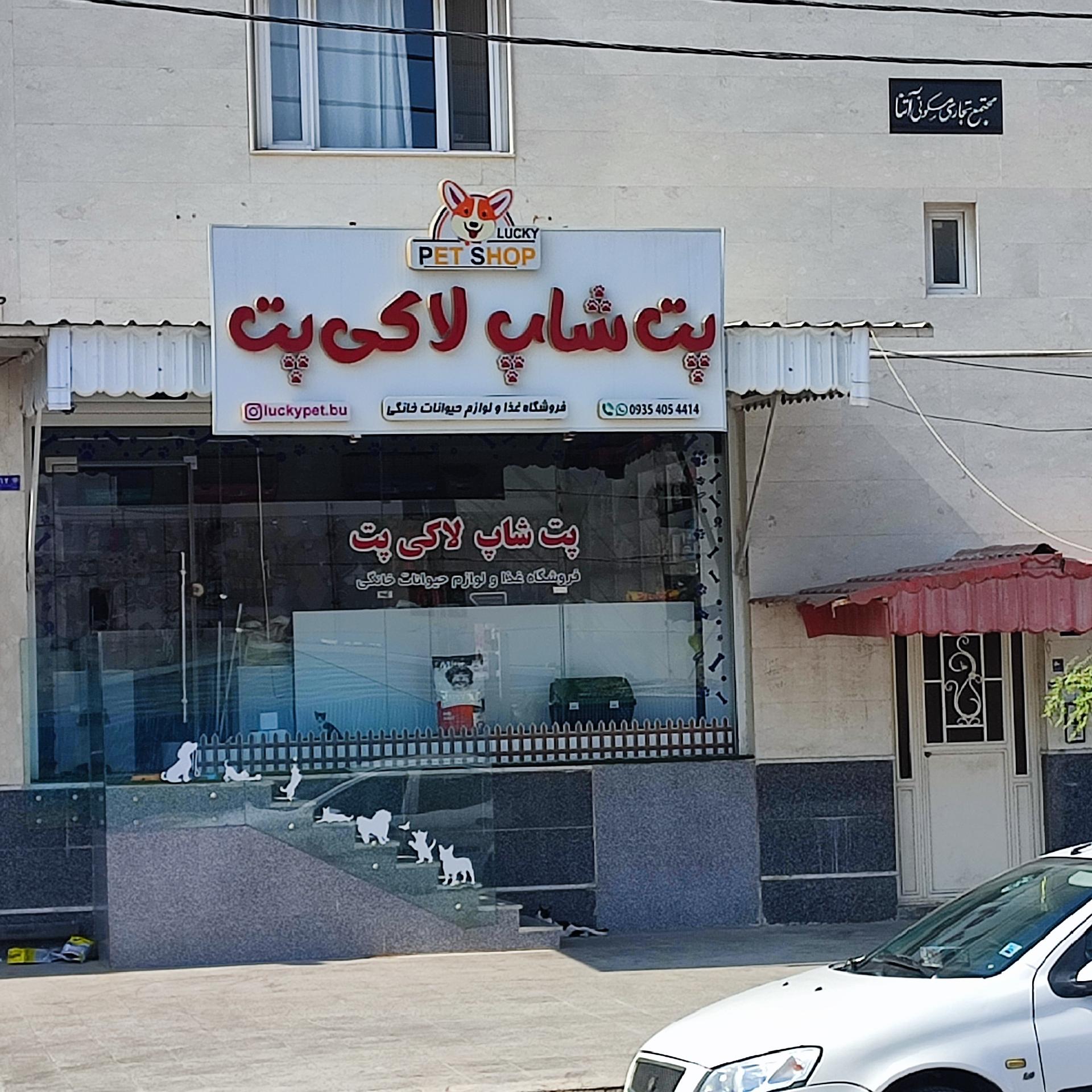 عکس پت شاپ لاکی پت