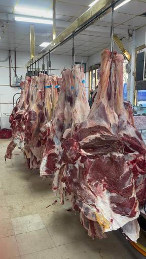 عکس گوشت شتر خیرالسادات